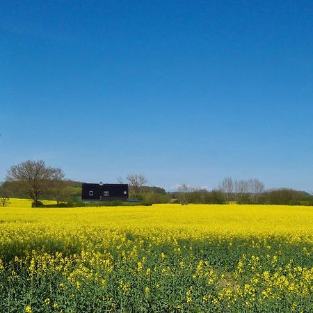 Ferienhaus Loimoos Schnarup-Thumby エクステリア 写真