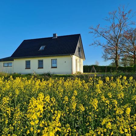 Ferienhaus Loimoos Schnarup-Thumby エクステリア 写真