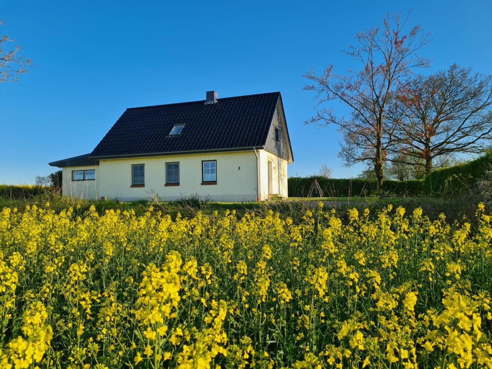 Ferienhaus Loimoos Schnarup-Thumby エクステリア 写真